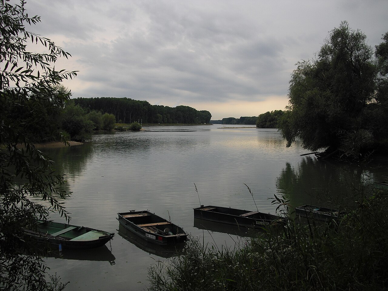 Rhein & Natur