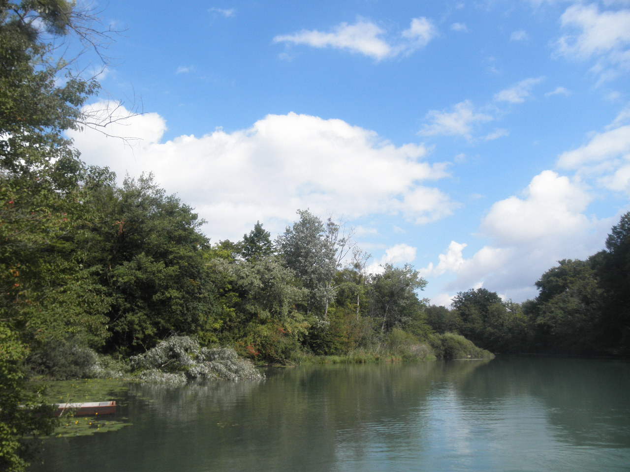 Naturparadies Taubergießen